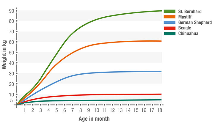 Growth curve