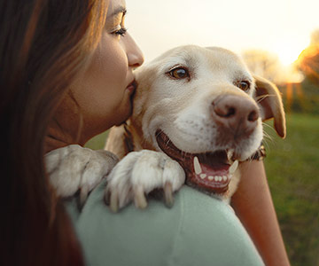 Tips om uw hond bij het lichaamseigen ontgiften te ondersteunen