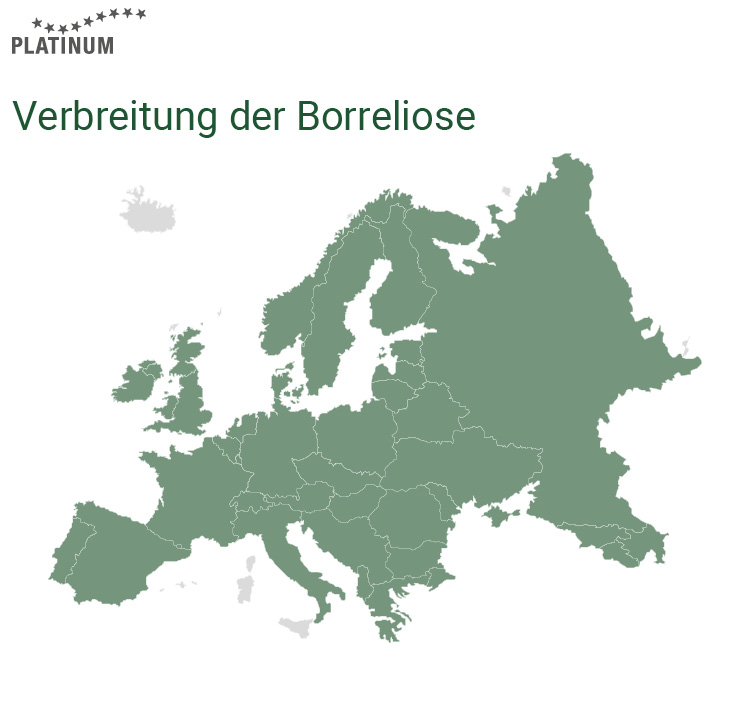 Die Krankheit Borreliose wird auch in Europa durch die Zecke auf den Hund übertragen