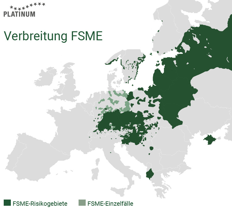 FSME wird seltener von Zecken auf den Hund übertragen als Borreliose