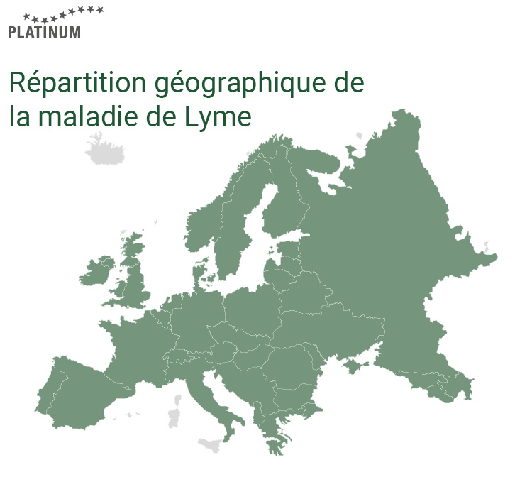 La maladie de Lyme est également transmise au chien par la tique en Europe