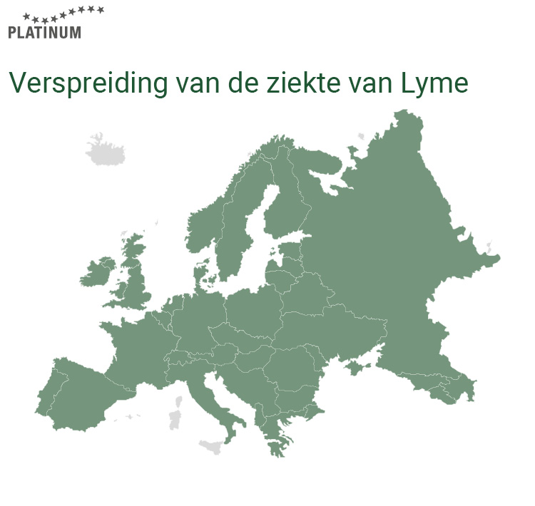 De ziekte van Lyme wordt in Europa ook overgedragen op honden door de teek