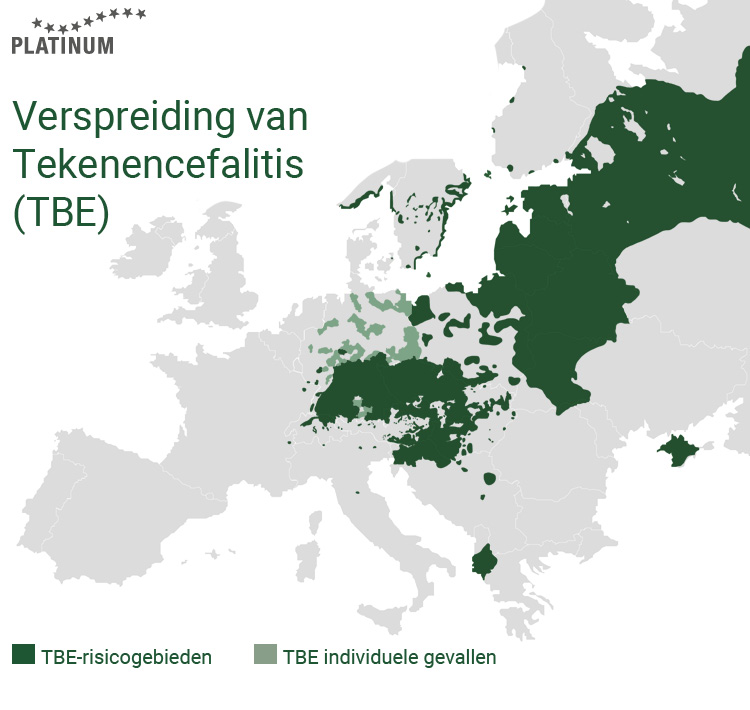 TBE wordt minder vaak overgedragen van teken op honden dan de ziekte van Lyme