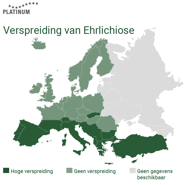 Ehrlichiose is een ziekte die door teken op de hond kan worden overgedragen.