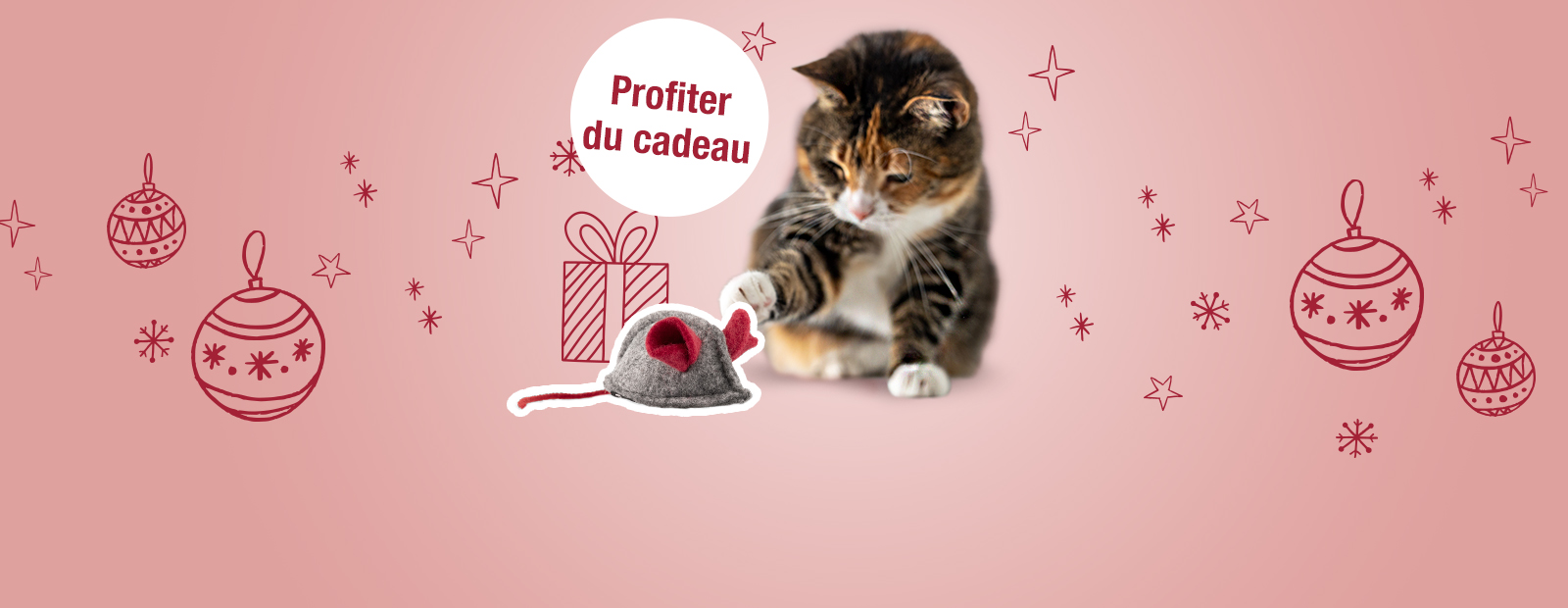Cadeaux de Noël gratuits pour les chats