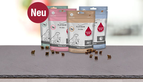 Leckerlis mit zusätzlichem Nutzen für Hunde