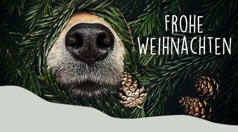 Platinum dog food coupon deals