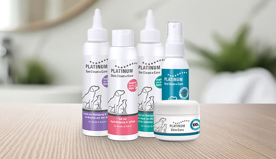 Nouveaux produits de soin pour les chats