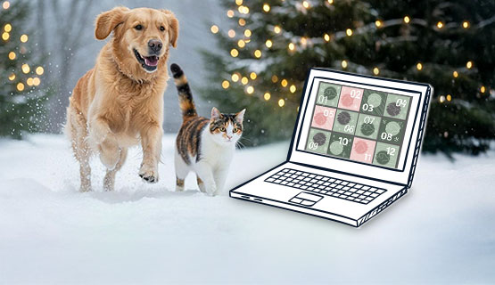Hond en kat rennen door de sneeuw naast een voorproefje van een adventskalender