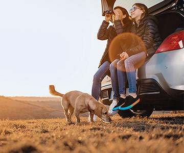 Met een hond op vakantie?!