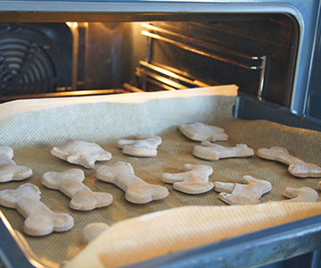 Kekse für Hunde auf Backbleck in den Backofen schieben