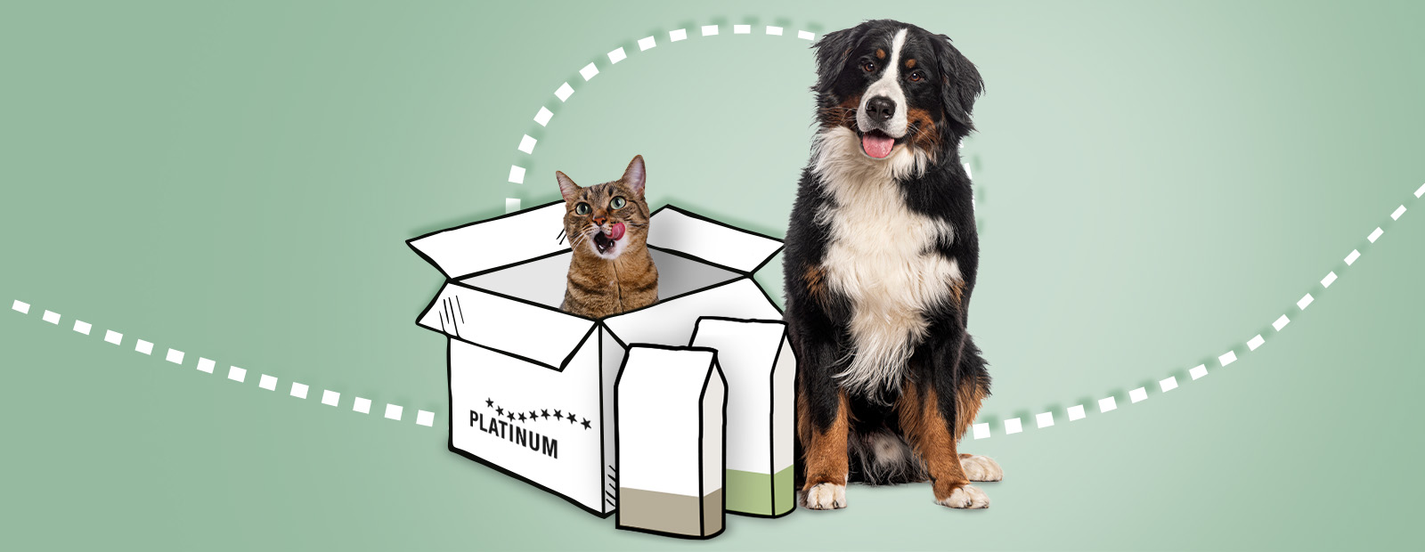 Bestel hondenvoer en kattenvoer op abonnement met automatische levering