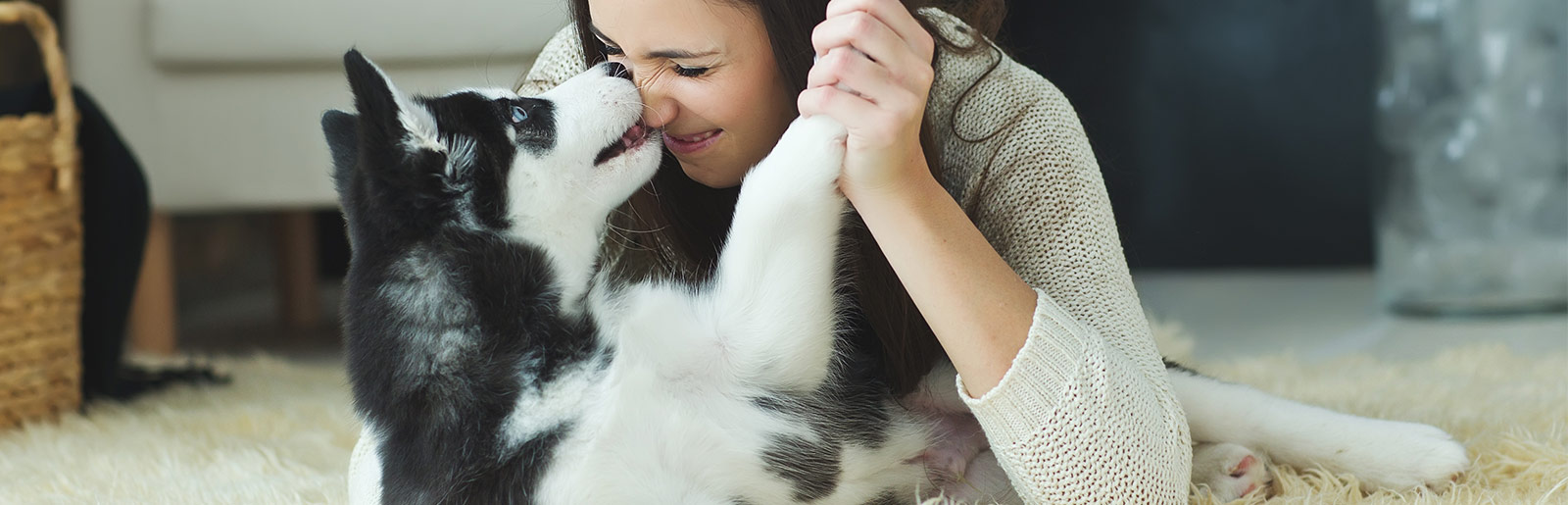 Erfahrungsberichte zu PLATINUM Hundefutter von anderen Hundehaltern