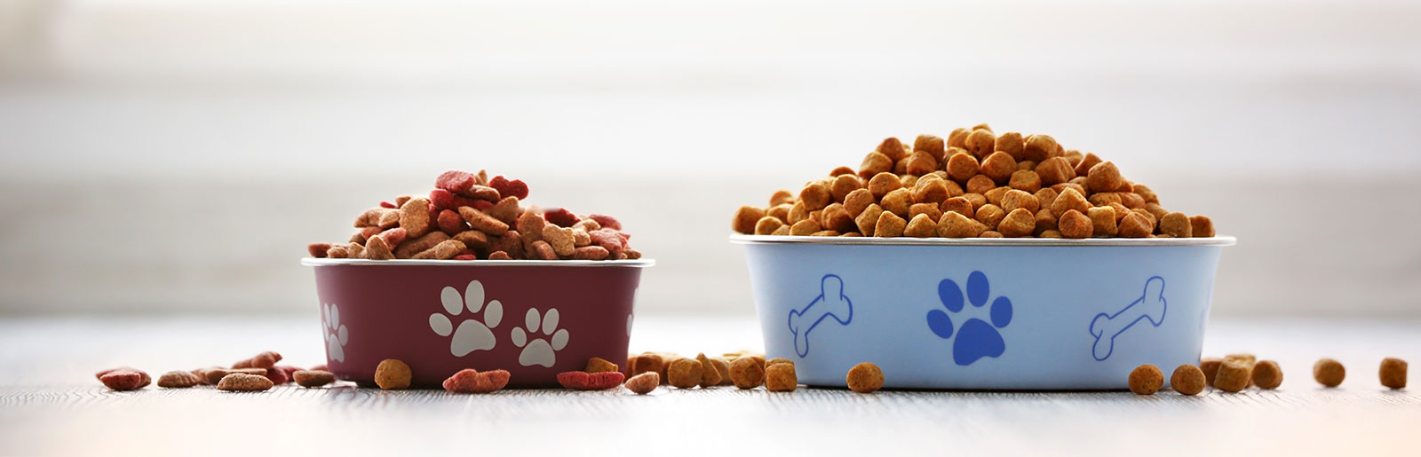Futter für den Hund testen zum Schutz der Hundegesundheit