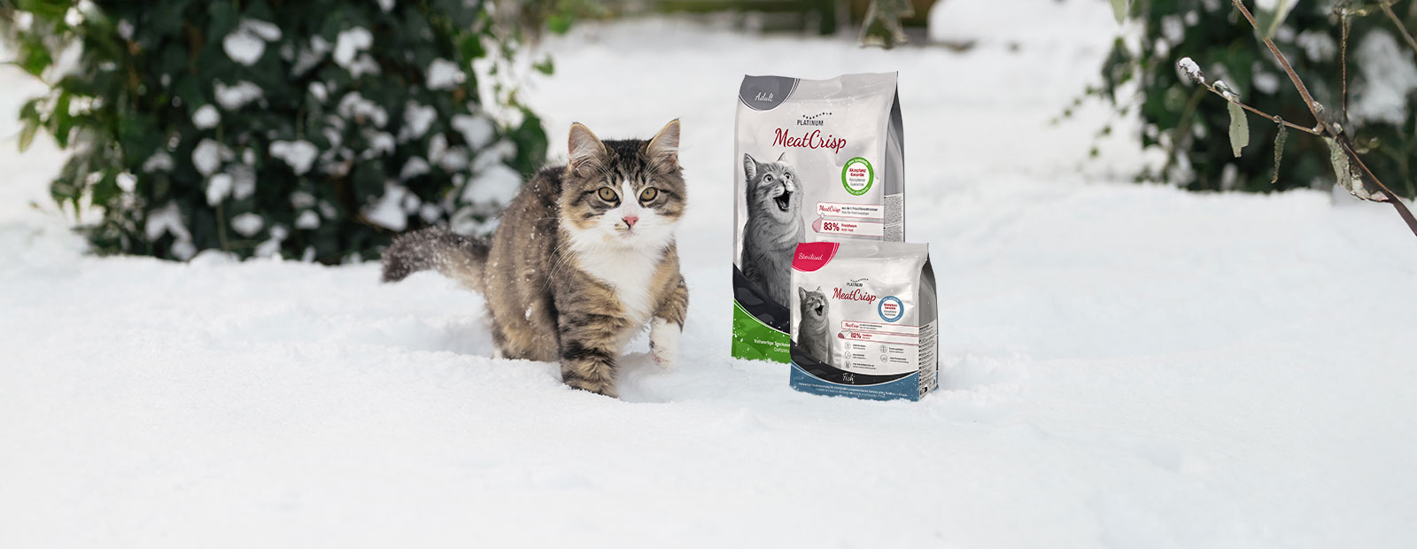 Kat loopt door de sneeuw naast een zak MeatCrisp droogvoer