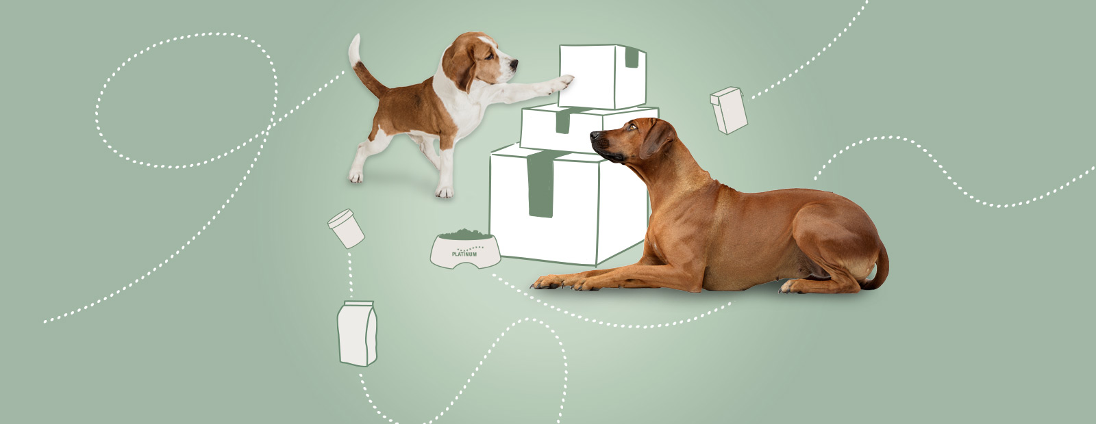 Trockenfutter und Nassfutter für Hunde aus Fleischsaftgarung