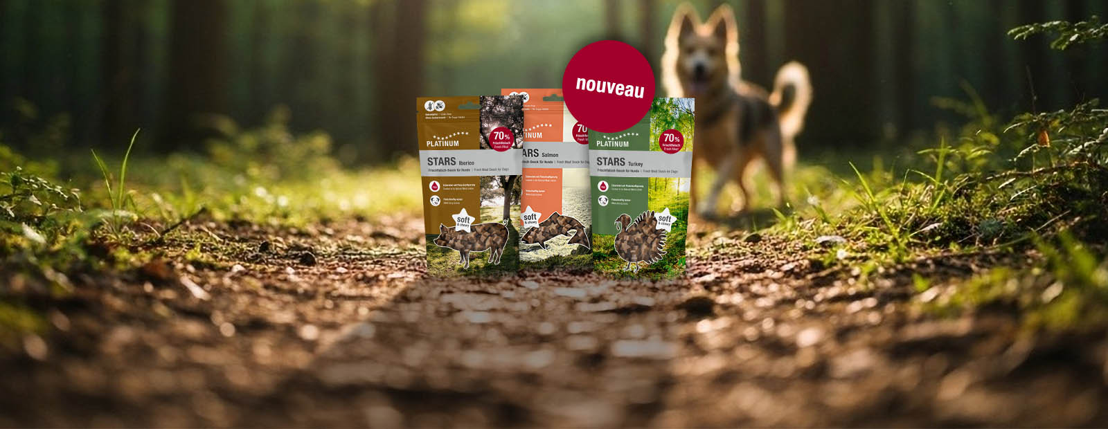Trois sacs de snacks sont posés par terre dans la forêt, avec un chien à l'arrière-plan.