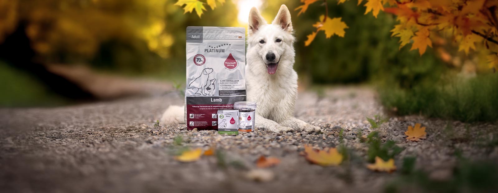 Un chien est couché sur un chemin, à côté de lui se trouvent un sac de croquettes, un sachet de nourriture humide Tetra et une boîte de friandises.