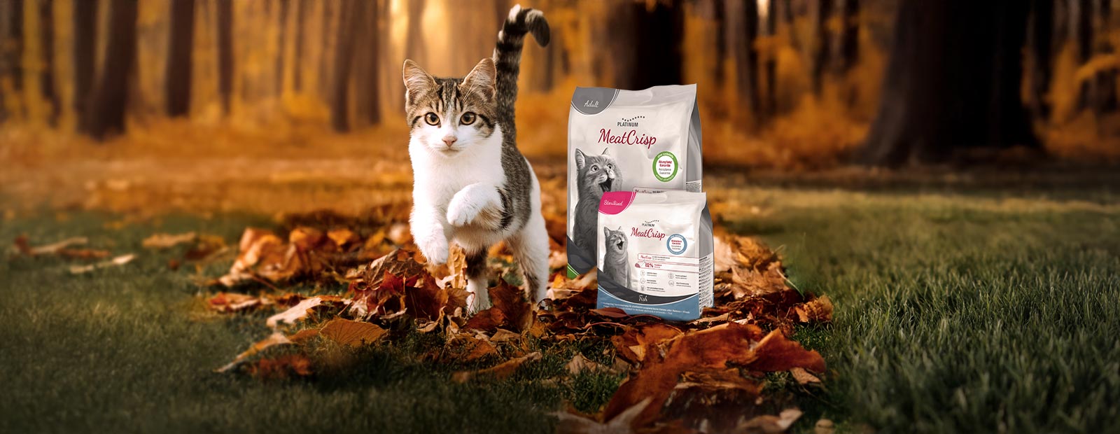 Kat zit in een nazomer bloemenweide naast een zakje MeatCrisp droogvoer