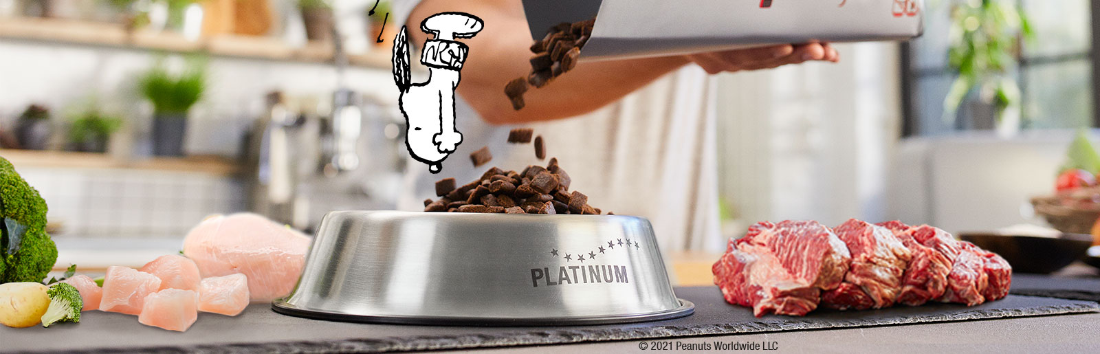 Snoopy Hundefutter