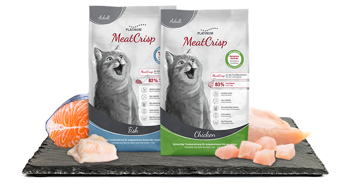 Even in summer, it is important to eat high-quality, high-protein cat food with a high meat content and lots of healthy nutrients. 