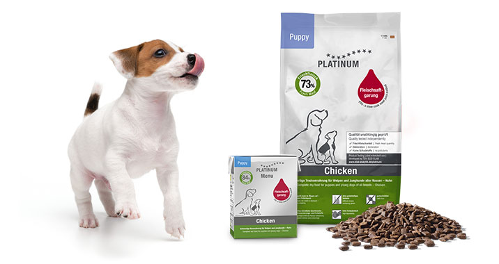 Puppy food made from meat juices with a high proportion of fresh meat contributes to the healthy development of puppies