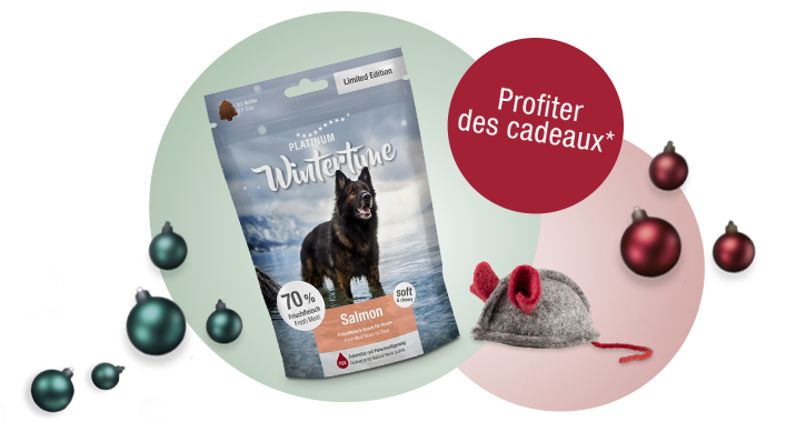 Sachet de friandises pour chiens et souris jouet pour chats dans le cadre de la promotion de Noël PLATINUM.