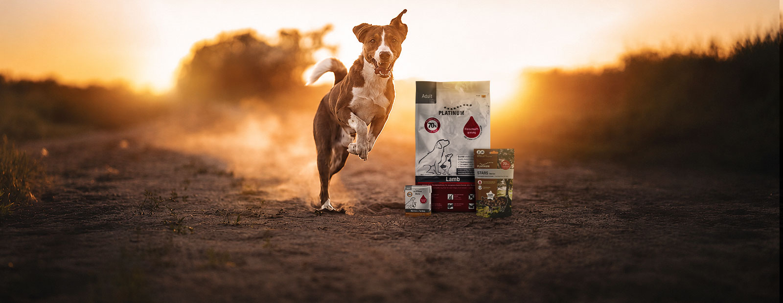 Un chien court sur un chemin, à côté duquel se trouvent un sac de croquettes, des friandises et un sachet de nourriture humide Tetra. 