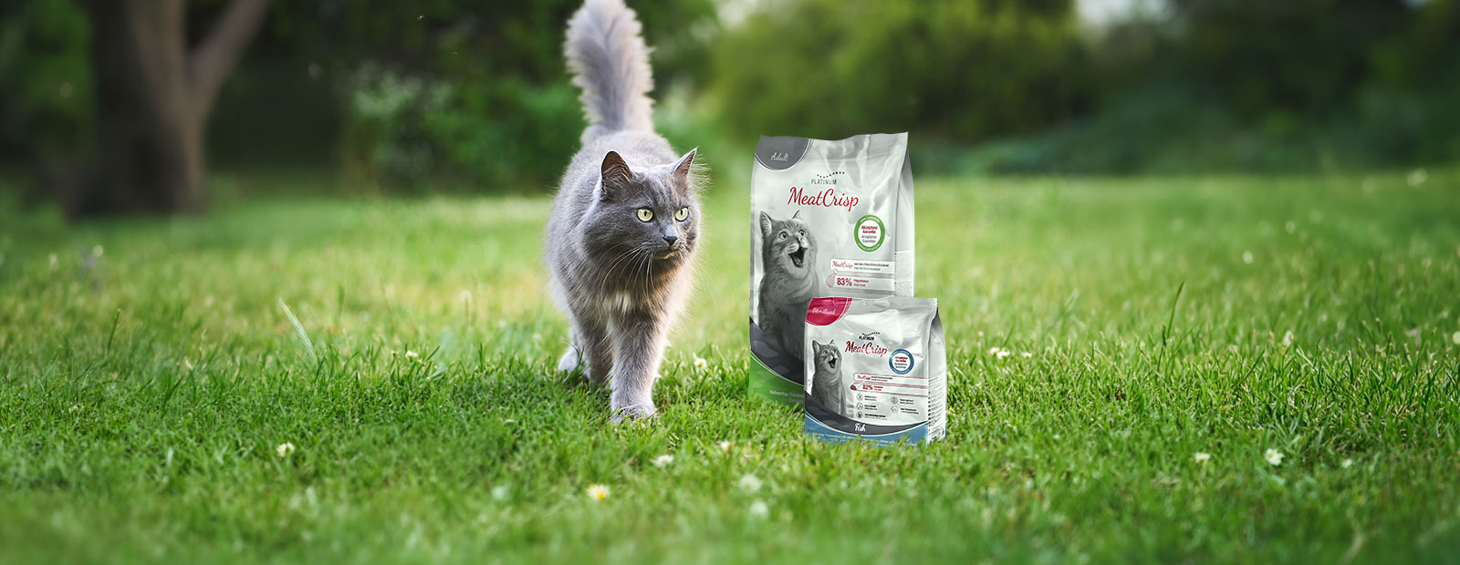 Katze läuft auf Weg durch Wiese mit Blumen an zwei Beuteln MeatCrisp Trockenfutter vorbei 