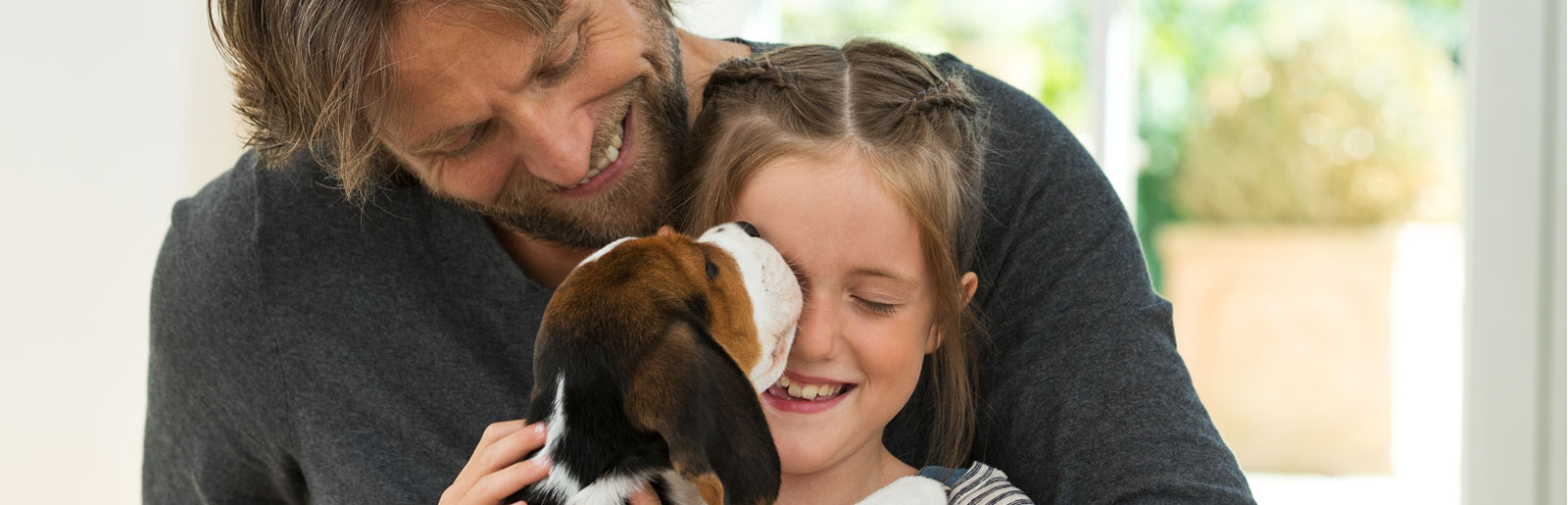 Le chiot apprend des comportements tels que la propreté, la marche en laisse et les premiers ordres.