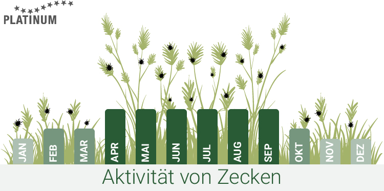 Die Zeckenzeit kann nicht auf einen bestimmten Zeitraum eingegrenzt werden; Zecken gibt es das ganze Jahr. Wann ist Zeckenzeit?