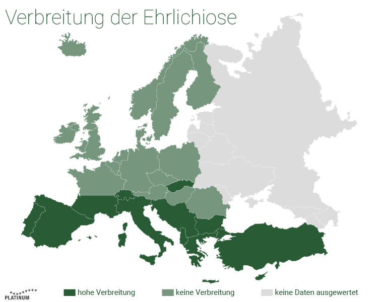 Die Krankheit Ehrlichiose beim Hund wird durch Zecken immer weiter nach Nordeuropa getragen Ehrlichiose ist eine Krankheit, die von Zecken auf den Hund übertragen werden kann