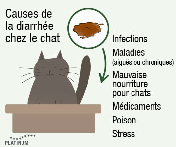 Les causes de la diarrhée chez le chat sont : Infections, maladies, mauvaise alimentation, médicaments, poison ou stress.