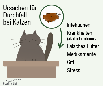 Vielfältige Ursachen für Durchfall bei Katzen Ursachen für Durchfall bei der Katze sind: Infektionen, Krankheiten, falsches Katzenfutter, Medikamente, Gift oder Stress
