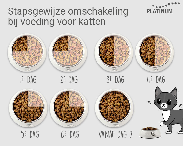 Stap voor stap overstappen op nieuw kattenvoer