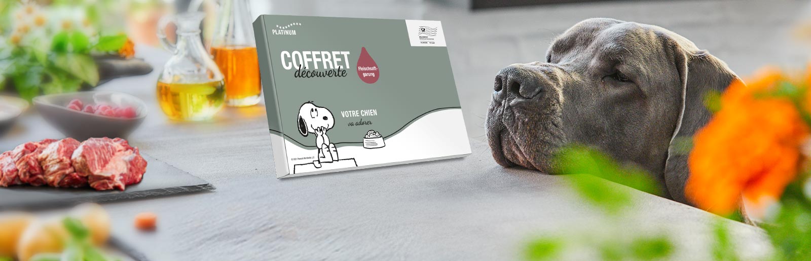 Commander un échantillon gratuit d'aliments secs pour chiens