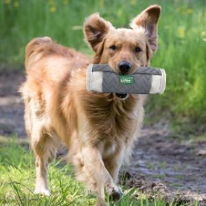 Entraînement au rapport avec le dummy et des friandises pour chiens ou des aliments secs pour chiens