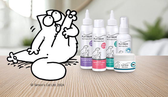 Compilatie van verzorgingsproducten voor katten