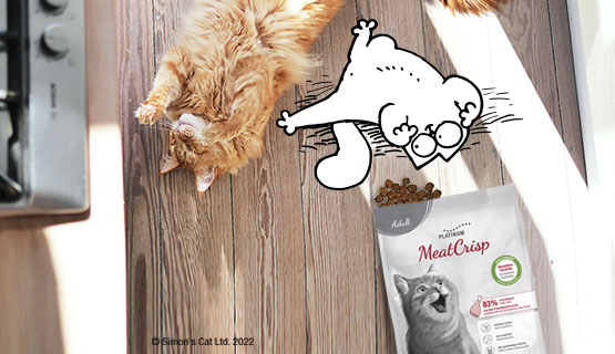 Simon's  Cat liebt MeatCrisp