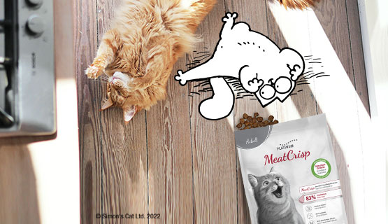 Simon's Cat aime MeatCrisp