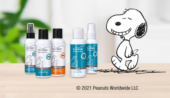 Snoopy présente nos soins dentaires pour chiens et chats