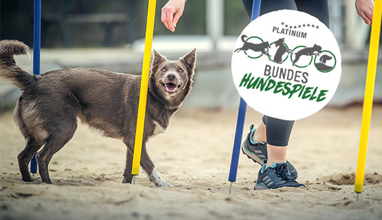Bundeshundespiele 2025