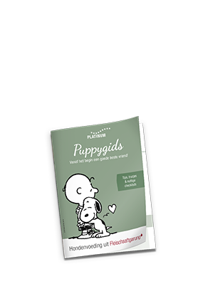Puppygids 