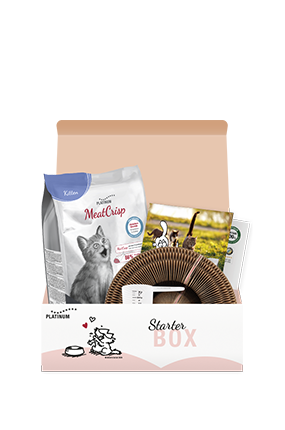 Starter Box MeatCrisp Kitten Chicken 