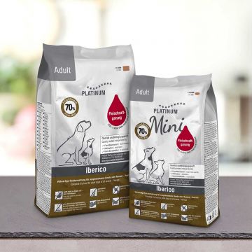 Adult Iberico 