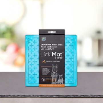 LickiMat Buddy türkis 