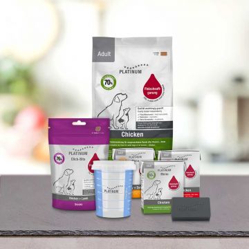 Sélection coups de cœur 